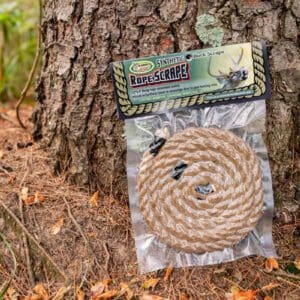 A rope is laying on the ground near a tree.