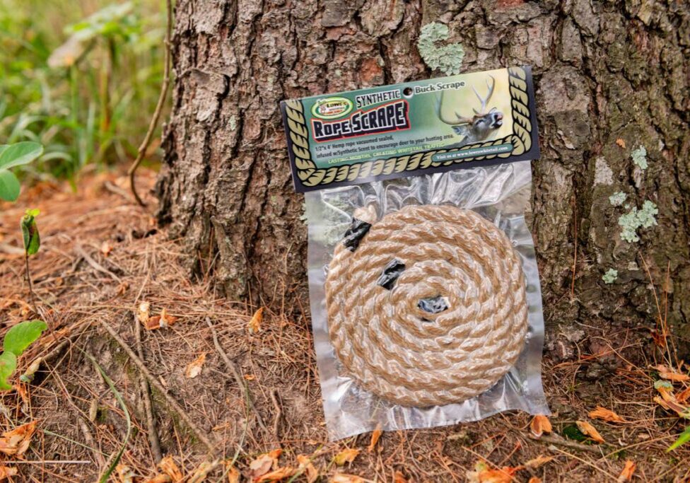 A rope is laying on the ground near a tree.