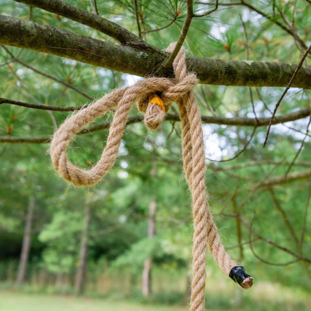 A rope hanging from the end of a tree.